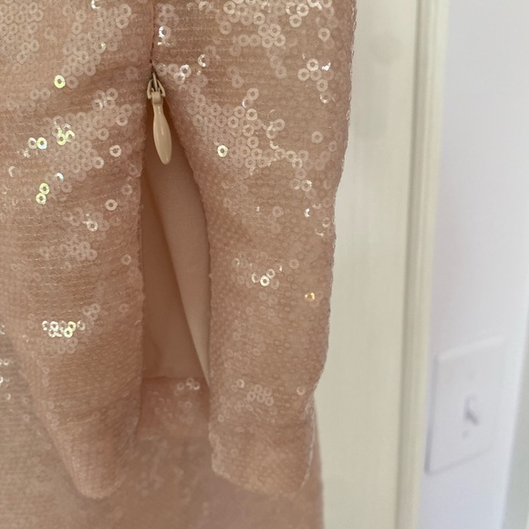 NEW Diane Von Furstenberg blush sequin dress - Picture 4 of 5